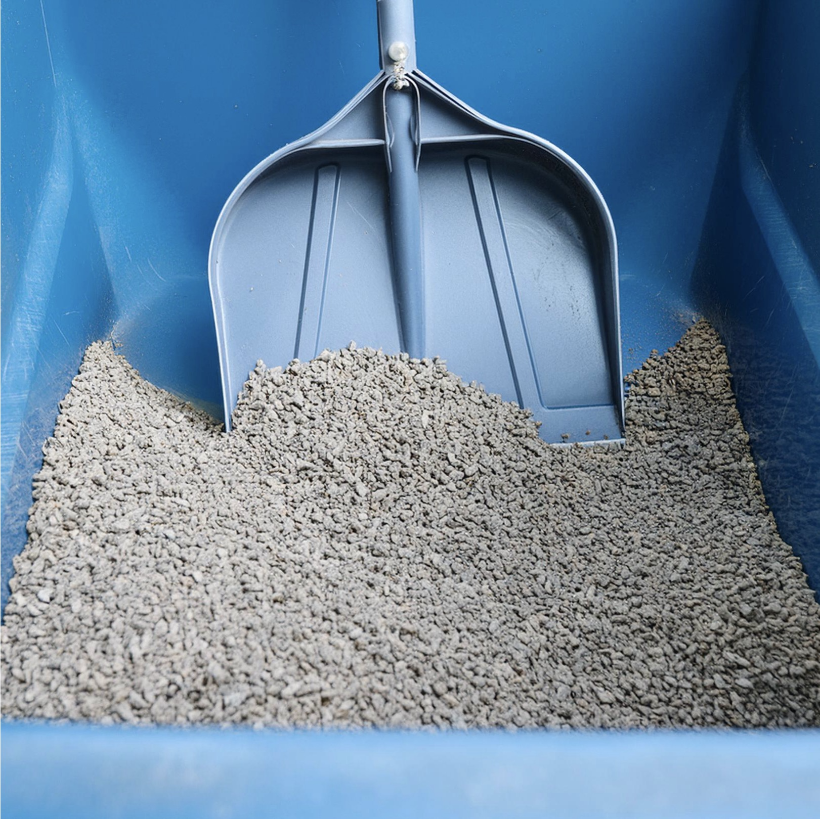 Firefly small plastic Dustpan scooping really really fine grey cat litter from blue square wheelie b